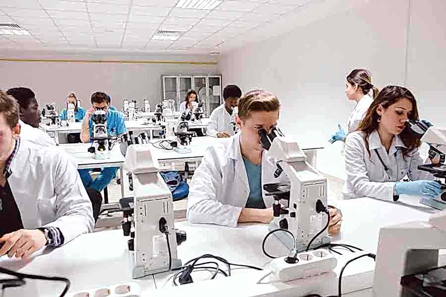 Высшее образование за рубежом