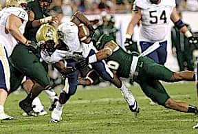 University of South Florida (США)