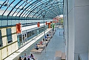 Университет University of Dunaújváros